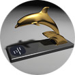 Award: Gold Dolphin