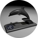 Black Dolphin
