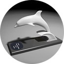 White Dolphin