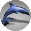 Blauer Delphin