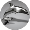 Silver Dolphin